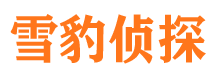 宁河外遇调查取证